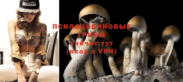 гашик Валдай